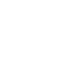 Multi-Language System Support