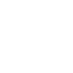 GCC-Focused Vehicle Database